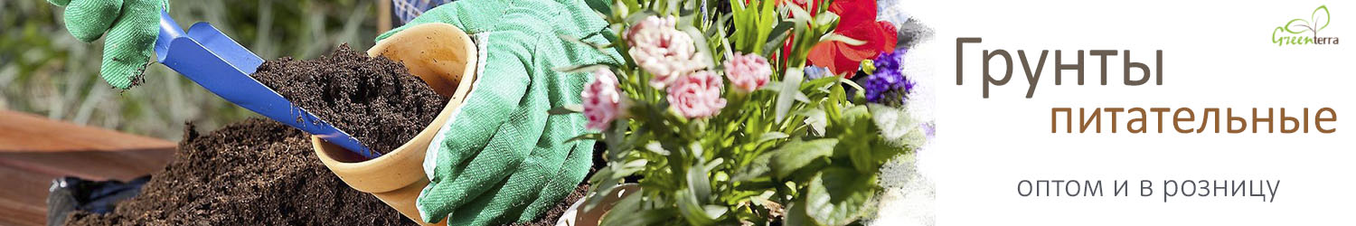 Питательные грунты для рассады – смеси с повышенным содержанием питательных элементов.