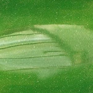 цвет зелёный