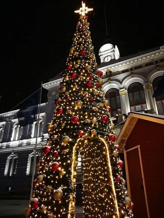 Большая уличная каркасная