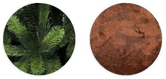 Уличная ель